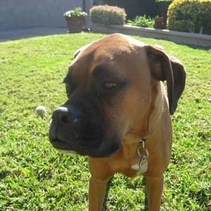 Meet your Posher, Maria